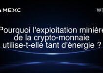 Pourquoi l’exploitation minière de la crypto-monnaie utilise-t-elle tant d’énergie ?