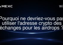 Pourquoi ne devriez-vous pas utiliser l’adresse crypto des échanges pour les airdrops ?