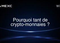 Pourquoi tant de crypto-monnaies ?