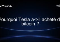 Pourquoi Tesla a-t-il acheté du bitcoin ?