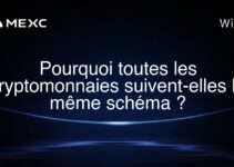 Pourquoi toutes les cryptomonnaies suivent-elles le même schéma ?