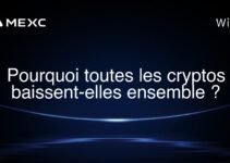Pourquoi toutes les cryptos baissent-elles ensemble ?