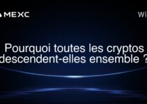 Pourquoi toutes les cryptos descendent-elles ensemble ?