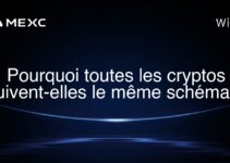 Pourquoi toutes les cryptos suivent-elles le même schéma ?