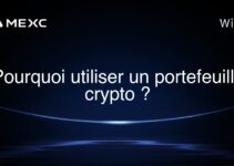 Pourquoi utiliser un portefeuille crypto ?