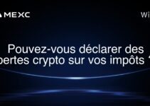 Pouvez-vous déclarer des pertes crypto sur vos impôts ?
