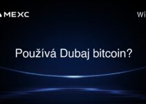 Používá Dubaj bitcoin?