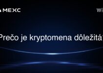 Prečo je kryptomena dôležitá?