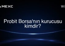 Probit Borsa’nın kurucusu kimdir?