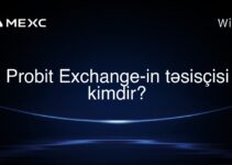 Probit Exchange-in təsisçisi kimdir?