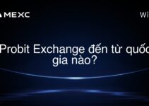Probit Exchange đến từ quốc gia nào?