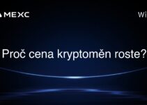 Proč cena kryptoměn roste?