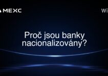 Proč jsou banky nacionalizovány?