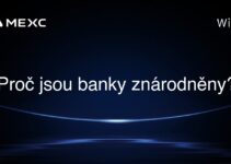 Proč jsou banky znárodněny?