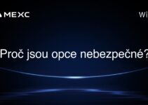 Proč jsou opce nebezpečné?