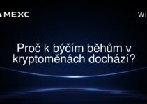 Proč k býčím běhům v kryptoměnách dochází?