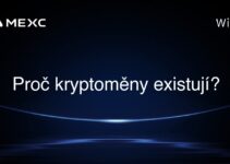 Proč kryptoměny existují?