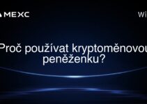 Proč používat kryptoměnovou peněženku?