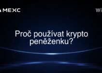 Proč používat krypto peněženku?