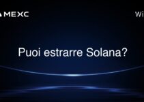 Puoi estrarre Solana?