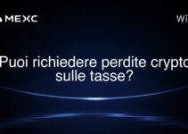 Puoi richiedere perdite crypto sulle tasse?