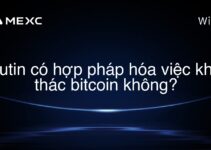 Putin có hợp pháp hóa việc khai thác bitcoin không?