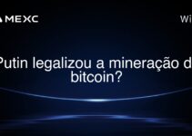 Putin legalizou a mineração de bitcoin?