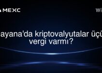 Qayana’da kriptovalyutalar üçün vergi varmı?