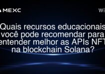 Quais recursos educacionais você pode recomendar para entender melhor as APIs NFT na blockchain Solana?
