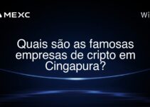 Quais são as famosas empresas de cripto em Cingapura?