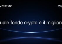 Quale fondo crypto è il migliore?