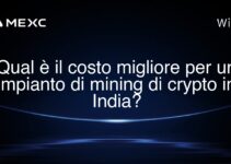 Qual è il costo migliore per un impianto di mining di crypto in India?