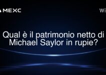 Qual è il patrimonio netto di Michael Saylor in rupie?