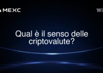 Qual è il senso delle criptovalute?