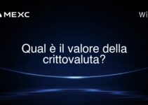Qual è il valore della crittovaluta?