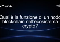 Qual è la funzione di un nodo blockchain nell’ecosistema crypto?