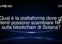 Qual è la piattaforma dove gli utenti possono scambiare NFT sulla blockchain di Solana?