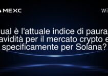 Qual è l’attuale indice di paura e avidità per il mercato crypto e specificamente per Solana?
