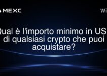 Qual è l’importo minimo in USD di qualsiasi crypto che puoi acquistare?