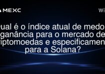 Qual é o índice atual de medo e ganância para o mercado de criptomoedas e especificamente para a Solana?