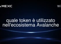 quale token è utilizzato nell’ecosistema Avalanche