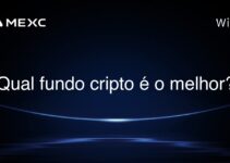 Qual fundo cripto é o melhor?