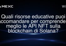 Quali risorse educative puoi raccomandare per comprendere meglio le API NFT sulla blockchain di Solana?
