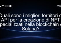 Quali sono i migliori fornitori di API per la creazione di NFT specializzati nella blockchain di Solana?