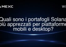 Quali sono i portafogli Solana più apprezzati per piattaforme mobili e desktop?