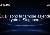 Quali sono le famose aziende crypto a Singapore?
