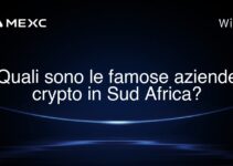 Quali sono le famose aziende crypto in Sud Africa?