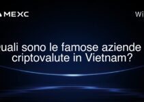 Quali sono le famose aziende di criptovalute in Vietnam?