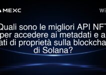 Quali sono le migliori API NFT per accedere ai metadati e ai dati di proprietà sulla blockchain di Solana?