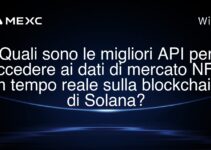 Quali sono le migliori API per accedere ai dati di mercato NFT in tempo reale sulla blockchain di Solana?